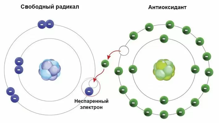 Молекулярная структура свободного радикала