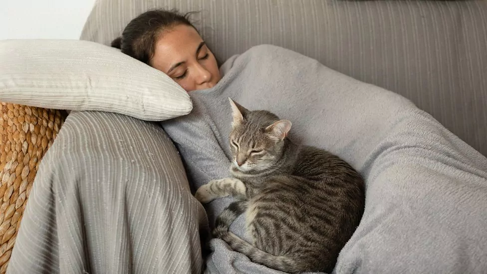 Девушка с котом спят днем